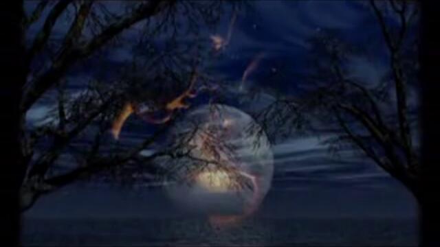 Straingers In The Night - Frank Sinatra (превод)