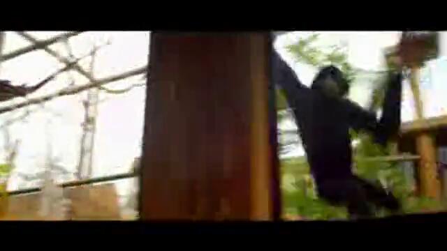 Coldplay_-_Paradise