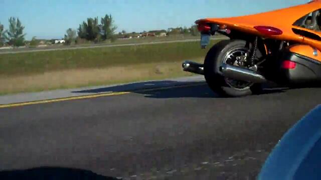 2 T-rex's en route to South Miami Beach