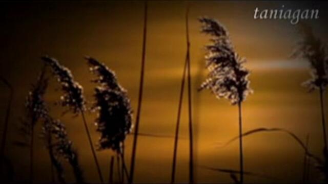 САМО ЗА ТЕБ - Sarah Engels (превод)