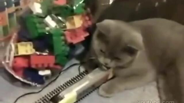 Котзила напада влак