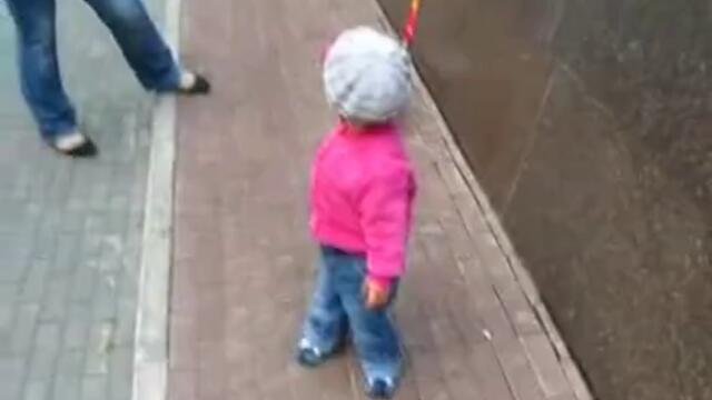 Bashta s refleksi