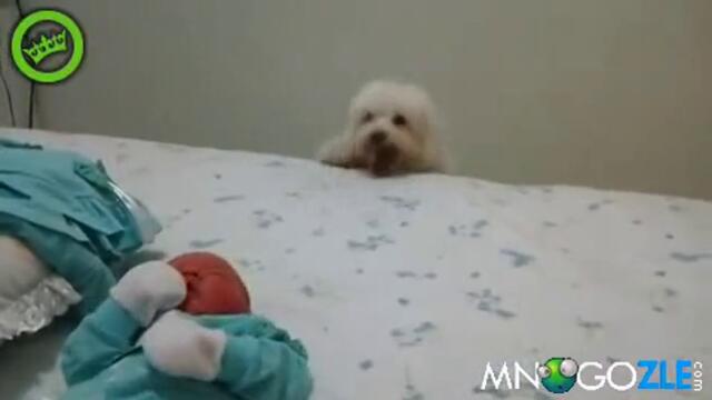 Typo kuche iska da dokopa bebe