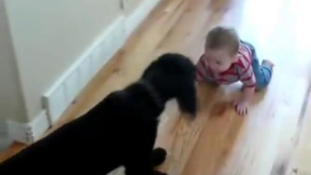 Bebe se misli za kuche