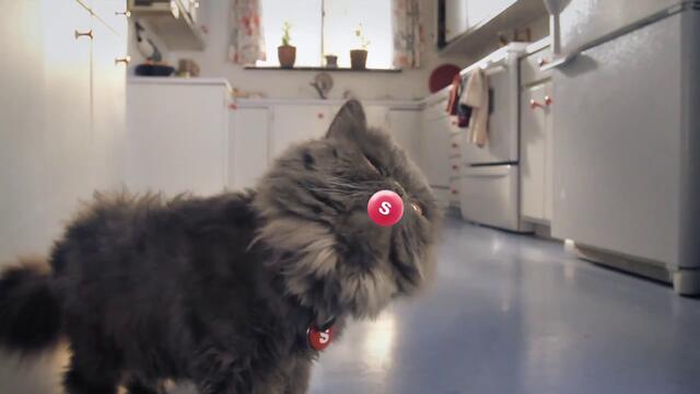 Сложете пръста си върху точката и изчакайте