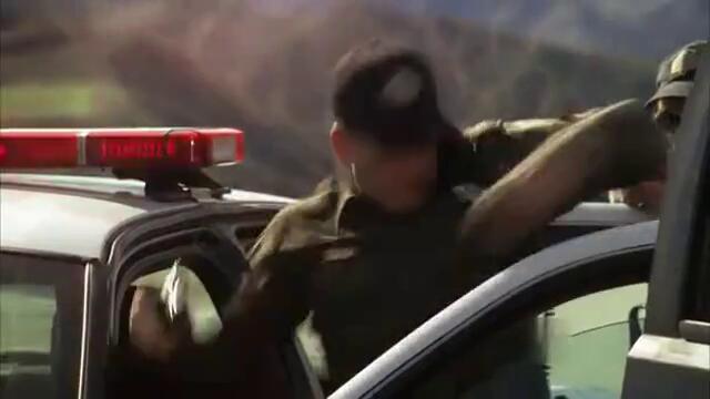 Застреляха бобъра!!