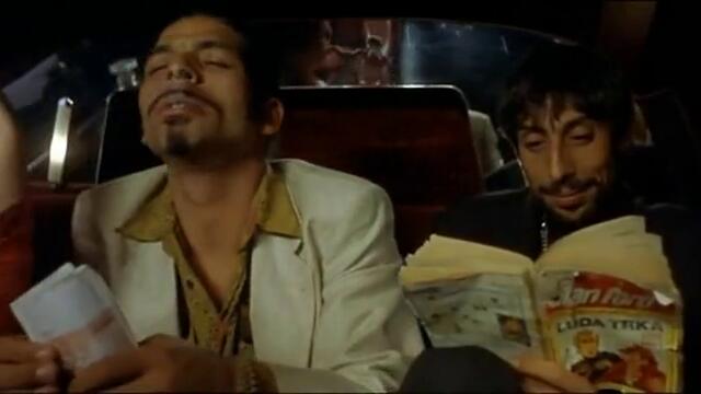 Черна котка бял котарак