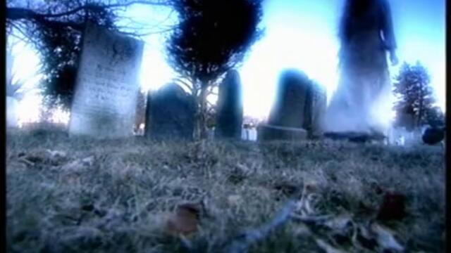 Is.It.Real.Vampires.DivX.TVRip.BGAudio.Nat.Geo.Ch.