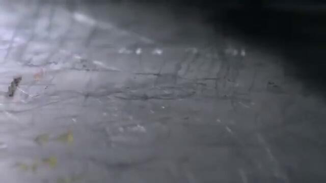 Силата на Вибрациятa