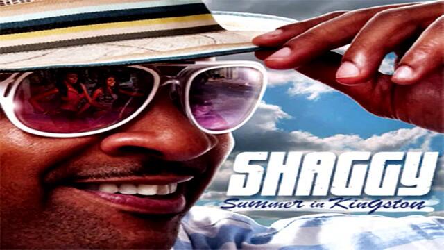 2011 » Shaggy - Dame [ H Q ]
