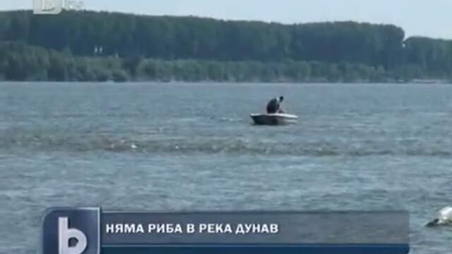Няма риба в река Дунав
