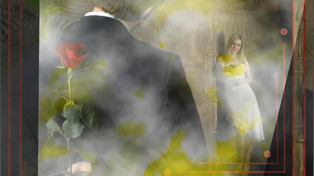 АЛЕКСЕЙ ГОНТ - ЦВЕТЫ!