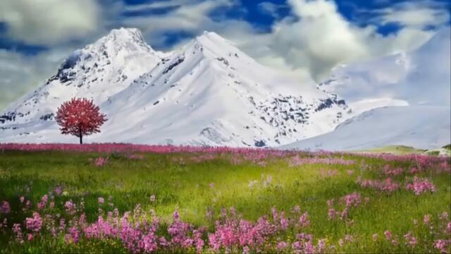 СЛЕПОЙ СЫН СПРОСИЛ ОТЦА !