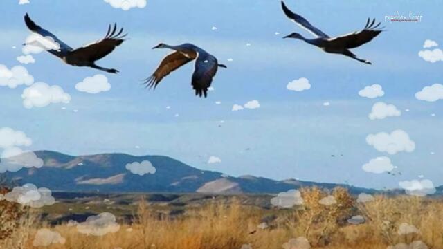 Михаил Кармаш   -    А ТЫ ПРОСТИ МЕНЯ, ПРОСТИ...