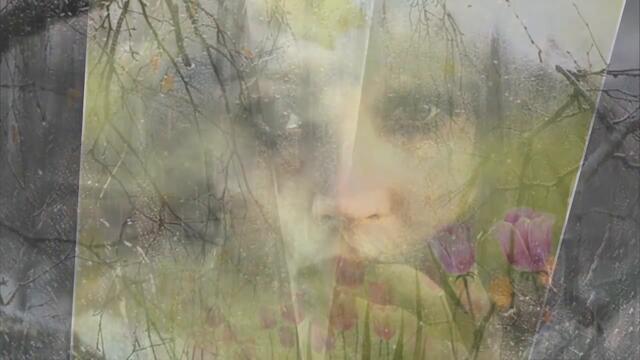 ИРИНА ВАСИЛЬЕВА   -   ВЕСНА