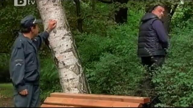 Опс, Гафче